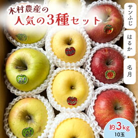 【ふるさと納税】木村農産の人気の3種セット (サンふじ・はるか・名月) 約3kg 10個入り ｜青森県産 つがる りんご リンゴ 林檎 サンふじ さんふじ はるか ハルカ 名月 めいげつ 果物 フルーツ 令和7年産 2025年産 [0948]