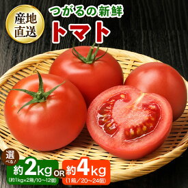 【ふるさと納税】《選べる容量》つがるの新鮮トマト (約2kg／約4kg)｜トマト とまと 新鮮 野菜 やさい リコピン サラダ おかず 弁当 ジュース パスタ サンドウィッチ 具材 青森県 つがる市 国産 農協 産直 贈答 ギフト [1002-1004]