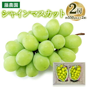 yӂ邳Ɣ[ŁzVC}XJbg 2[ (550gȏ×2[)bx18xȏ Ȃ Ԃǂ t[c ʕ  X s _ 2025NY ߘa7N_Ag [0626]