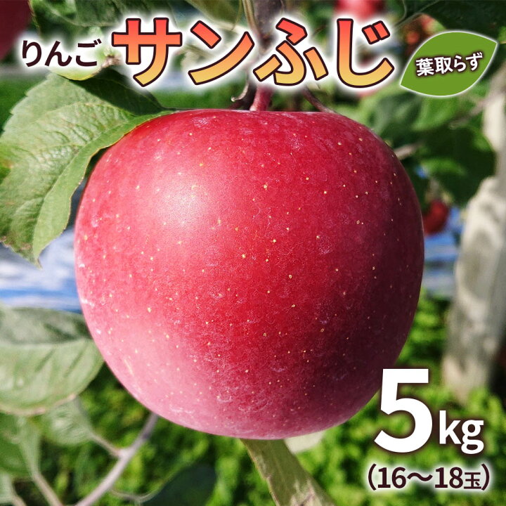 最大47%OFFクーポン 期間限定 青森県産 夏みどり 激レア りんご 6~8玉