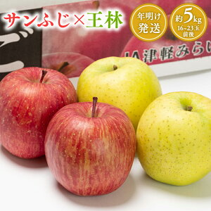 yӂ邳Ɣ[ŁzᔭIׂ!XY Tӂ× lߍ킹 5kg yX s JAÌy݂炢z sY X 12 X XY   S ь 