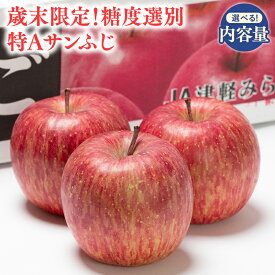 【ふるさと納税】＼歳末限定／糖度13度以上！青森県産 糖度選別 特Aサンふじ 5kg 10kg【青森県 平川市 JA津軽みらい】 青森 青森県産 平川 りんご リンゴ 林檎 くだもの 果物 フルーツ レビューキャンペーン