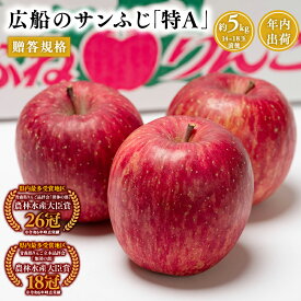 【ふるさと納税】≪年内発送≫青森県産 贈答規格 広船のサンふじ 「 特A 」約5kg【青森県 平川市 広船アップルクラブ】サンふじ ふじ 広船 年内 青森 青森県産 平川 りんご リンゴ 林檎 くだもの 果物 フルーツ レビューキャンペーン