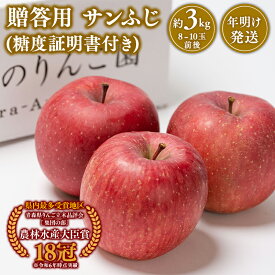 【ふるさと納税】≪内容量が選べる≫【1~2月発送】 青森県産 贈答用サンふじ（糖度証明書付き） 3kg 5kg【青森県 平川市 那由多のりんご園】贈答 青森 青森県産 平川 りんご リンゴ 林檎 くだもの 果物 フルーツ レビューキャンペーン