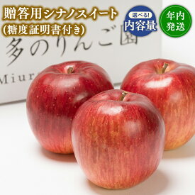 【ふるさと納税】≪内容量が選べる≫【10~12月発送】 青森県産 贈答用 シナノスイート（糖度証明書付き) 3kg 5kg【青森県 平川市 那由多のりんご園】贈答 青森 青森県産 平川 りんご リンゴ 林檎 くだもの 果物 フルーツ レビューキャンペーン