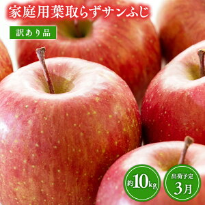 yӂ邳Ɣ[ŁzᔭIׂ XY 󂠂ƒp t炸Tӂ 10kg (32`40ʒx) y X s XRX z  XRX X ь S Tӂ ӂ t