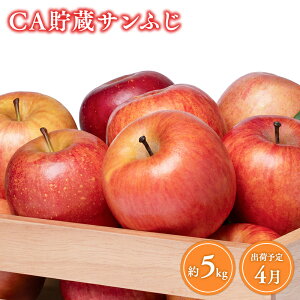 yӂ邳Ɣ[ŁzeʂIׂ! XY CA Tӂ 3kg 5kg y X s XRX z 4  XRX XY X 4 ь S Tӂ ӂ t