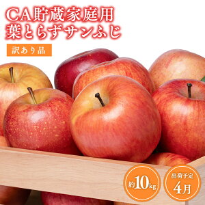 yӂ邳Ɣ[Łz4XY CA 󂠂 tƂ炸 Tӂ 10kgyX s XRXz4 ƒp  S ь t[c  X Tӂ ӂ tƂ