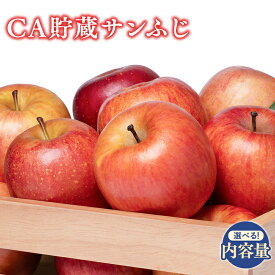 【ふるさと納税】≪内容量が選べる!≫ 青森県産 CA貯蔵 サンふじ 約3kg 約5kg 【 青森県 平川市 森山商店 】 4月発送 りんご 森山商店 青森県産 青森りんご 4月 林檎 リンゴ サンふじ ふじ 葉とらず 平川市 青森県 レビューキャンペーン