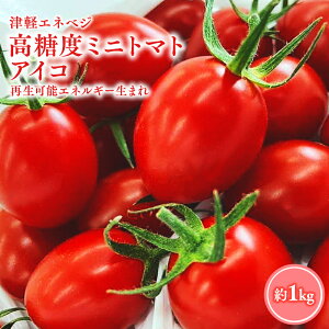 yӂ邳Ɣ[Łz6ȍ~ x ~jg}g [ACR] 1kg g}g Ƃ܂ v`g}g i  ₳ _  X s  r[Ly[