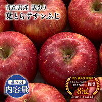 【ふるさと納税】≪内容量が選べる≫青森県産 訳あり 葉とらず サンふじ 約...