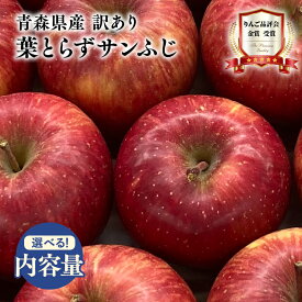 【ふるさと納税】≪内容量が選べる≫青森県産 訳あり 葉とらず サンふじ 約3kg 約5kg【青森県 平川市 岩渕農園】1月〜3月発送 青森 青森県産 平川 りんご リンゴ 林檎 くだもの 果物 フルーツ レビューキャンペーン