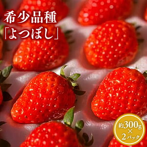 yӂ邳Ɣ[ŁzXY  ڂ 300g×2pbN (l)yX s 킹j-Farmz C`S   ʕ t[c 󏭕i  r[Ly[