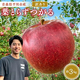 【ふるさと納税】≪2026年8月下旬頃より発送≫青森県産 訳あり つがる 約3kg【青森県 平川市 なるみ農園】家庭用 訳アリ 青森 青森県産 平川 りんご リンゴ 林檎 くだもの 果物 フルーツ レビューキャンペーン