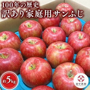 yӂ邳Ɣ[ŁzeʂIׂ!100N̗j XY 󂠂 ƒp Tӂ 3kg 5kgyc_ X sYz12 X   S ь t[c r[L