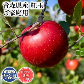 【ふるさと納税】2025年度産 先行予約!≪内容量が選べる≫青森県産 訳あり 紅玉 3kg 5kg 10kg【青森県 平川市 そと川りんご園】10月発送 家庭用 青森 青森県産 平川 りんご リンゴ 林檎 くだもの 果物 フルーツ レビューキャンペーン