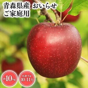 yӂ邳Ɣ[Łz2025NxY s\!eʂIׂXY 󂠂 点 3kg 5kg 10kgyX s Ɛ񂲉z10`11 ƒp X XY   S ь