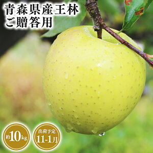 yӂ邳Ɣ[Łz2025NxY s\!eʂIׂXY p  3kg 5kg 10kgyX s Ɛ񂲉z11`1  X XY   S ь 
