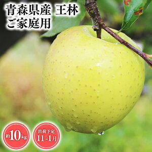 yӂ邳Ɣ[Łz2025NxY s\!eʂIׂXY 󂠂  3kg 5kg 10kgyX s Ɛ񂲉z11`1 ƒp X XY   S ь 