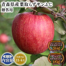 【ふるさと納税】≪内容量が選べる!≫青森県産 贈答用 葉とらずサンふじ 3kg 5kg 10kg【青森県 平川市 そと川りんご園】11月〜4月発送 贈答 青森 青森県産 平川 葉とらず サンふじ ふじ りんご リンゴ 林檎 くだもの 果物 フルーツ レビューキャンペーン
