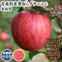 楽天市場】葉とらず サンふじ 5kgの通販