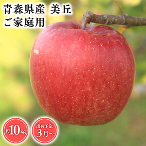 yӂ邳Ɣ[Łz2025NxY s\!eʂIׂXY 󂠂 u 3kg 5kg 10kgyX s Ɛ񂲉z3 ƒp X XY   S ь  