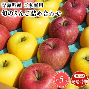 yӂ邳Ɣ[Łz XY 󂠂 {̂񂲋lߍ킹 5kg y X s {쏤X z11`4 X X  sY  S ь t[c { lߍ킹 ƒ