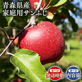 【ふるさと納税】≪内容量と配送月が選べる≫ 青森県産 家庭用 サンふじ【青森県 平川市 丸勝木村商店】 平川市産 青森りんご りんご リンゴ 林檎 ふじ 訳あり 家庭 わけあり お取り寄せ 先行予約 果物 くだもの フルーツ レビューキャンペーン