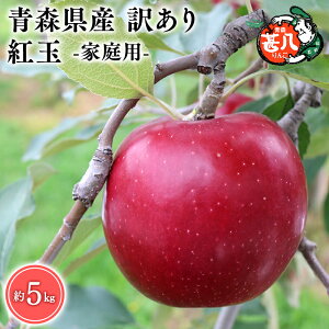 yӂ邳Ɣ[ŁzeʂIׂXY 󂠂 ƒp r g 3kg 5kgyX s }WTAbvz10 X XY   S ь  ʕ 