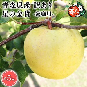 yӂ邳Ɣ[ŁzeʂIׂXY 󂠂 ƒp r ̋ 3kg 5kgyX s }WTAbvz11 X XY   S ь  