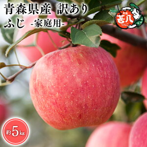 yӂ邳Ɣ[ŁzeʂIׂXY 󂠂 ƒp r ӂ 3kg 5kgyX s }WTAbvz5`7 X XY   S ь  