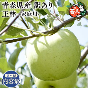 yӂ邳Ɣ[ŁzeʂIׂXY 󂠂 ƒp r  3kg 5kgyX s }WTAbvz5`6 X XY   S ь  