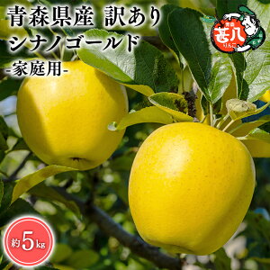 yӂ邳Ɣ[ŁzeʂIׂXY 󂠂 ƒp r VimS[h 3kg 5kgyX s }WTAbvz6 X XY   S ь 
