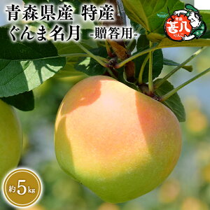 yӂ邳Ɣ[ŁzeʂIׂXY 󂠂 ƒp r ܖ 3kg 5kgyX s }WTAbvz11 X XY   S ь 