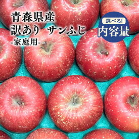 【ふるさと納税】≪内容量と発送月が選べる≫訳あり 家庭用 サンふじ 約2kg 約3kg 約5kg 【青森県 平川市 原田青果】りんご 青森 平川 訳あり 家庭用 11月 12月 1月 2月 3月 4月 5月 青森 青森県産 平川 りんご リンゴ くだもの 果物 フルーツ レビューキャンペーン
