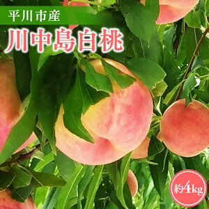 yӂ邳Ɣ[Łz2026NYs\ eʂIׂ! sY 쒆 2kg 4kg y X s _ z t[c ʕ     s[` ͂Ƃ 쒆  