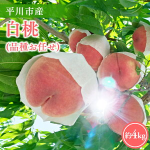 yӂ邳Ɣ[Łz2026NYs\ eʂIׂ! sY  i킨C 2kg 4kg y X s _ z  ܂ǂ ɒB t[c ʕ     s[