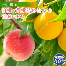 【ふるさと納税】≪2026年産先行予約≫ 内容量が選べる! 平川市産 白桃 黄桃 品種お任せ 詰め合わせ 【 青森県 平川市 今井農園 】 フルーツ 果物 桃 もも モモ 白桃 ピーチ はくとう きもも おうとう お取り寄せ デザート 先行予約 レビューキャンペーン