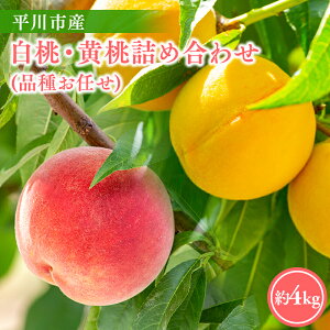 yӂ邳Ɣ[Łz2026NYs\ eʂIׂ! sY   i킨C lߍ킹 y X s _ z t[c ʕ     s[` ͂Ƃ  