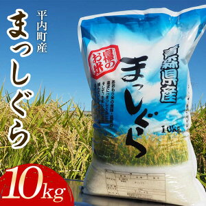 yӂ邳Ɣ[Łz 100NĔ_ ܂ 10kg iߘa7NYj y}Tt@[z      R k X  F21J-119