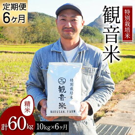 【ふるさと納税】 ＜定期便＞ 100年続く米農家 特別栽培米～観音米～ 10kg×6ヶ月連続 （令和7年産） 【マルサンファーム】 白米 精米 米 お米 おこめ コメ 東北 青森県 平内町 F21J-207