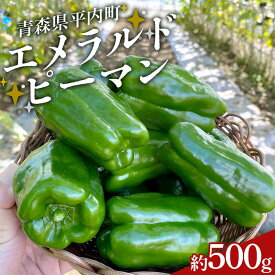 【ふるさと納税】 エメラルドピーマン 約500g 【レッドファーマー】 ピーマン 野菜 美味しい 新鮮 甘い 夏野菜 サラダ おいしい 旬 国産 旬の野菜 旬野菜 新鮮 お取り寄せ 送料無料 F21J-232