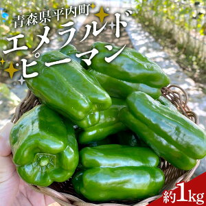 yӂ邳Ɣ[Łz Ghs[} 1kg ybht@[}[z s[}   VN Â Ė T_  { Y {̖ { VN   F21J-233