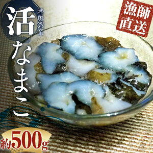 yӂ邳Ɣ[Łz Ȃ܂ 500g (3`5{) H yہz t Ȃ܂ i}R Cl  X X k p ނp F21J-241