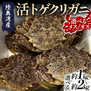 yӂ邳Ɣ[ŁzsIׂe / IׂIXEXt pY gQNKj 1kg (5`10t)E2kg (6`12t)yہz t  Jj I  X X k ނp F21J-251var