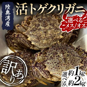 yӂ邳Ɣ[Łz 󂠂 sIׂe / IׂIXEXt pY gQNKj 1kg (5`10t)E2kg (6`12t)yہz t  Jj I  X X k ނp F21J