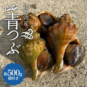 yӂ邳Ɣ[Łz pY  kt 500gl yہz  ԊL cu  ԊL hg Ԏh hg Ă ܂ H  CN X  k ނp F21J-262