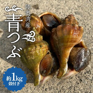 yӂ邳Ɣ[Łz pY  kt 1kgl yہz  ԊL cu  ԊL hg Ԏh hg Ă ܂ H  CN X  k ނp F21J-263