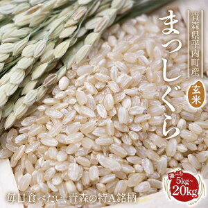 yӂ邳Ɣ[ŁzsIׂeʁt X Y  ܂ 5kg / 10kg / 20kgi)     R   ͂ uh A k X F21J-284var