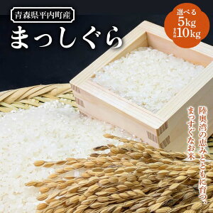 yӂ邳Ɣ[Łz sIׂeʁt X Y  ܂ 5kgE10kg    R  k F21J-289var